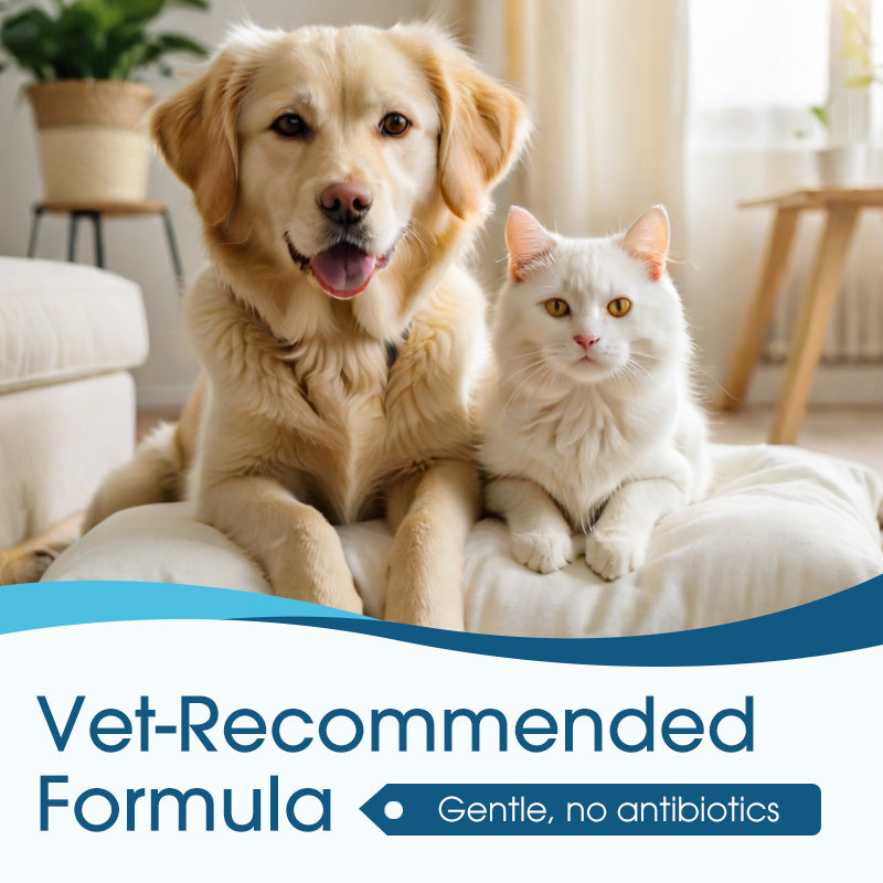🔥 [Buy 3 Get 2 Free] Vet-Recommended Instant Relief Pet Anti-Itch Ear Cleaner 🐶🐱